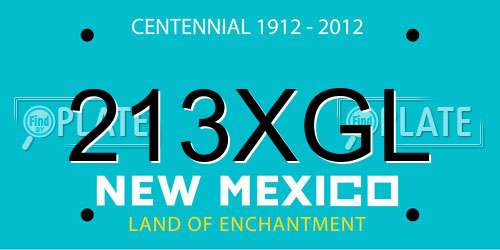 213XGL New Mexico License Plate