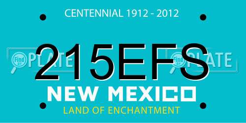 215EFS New Mexico License Plate