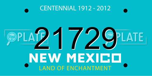 21729 New Mexico License Plate