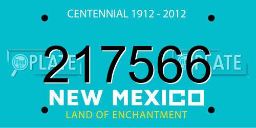 217566 New Mexico License Plate