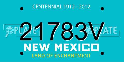 21783V New Mexico License Plate