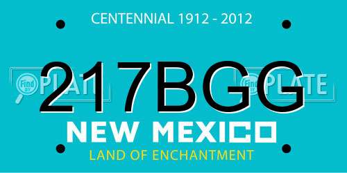 217BGG New Mexico License Plate