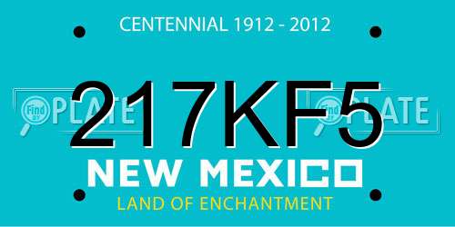 217KF5 New Mexico License Plate