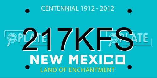 217KFS New Mexico License Plate
