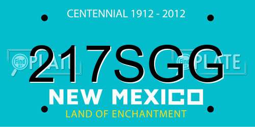 217SGG New Mexico License Plate