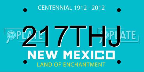 217THJ New Mexico License Plate