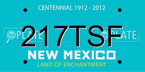 217TSF New Mexico License Plate