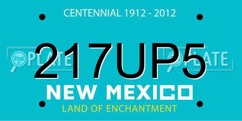 217UP5 New Mexico License Plate