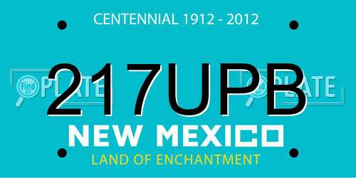 217UPB New Mexico License Plate