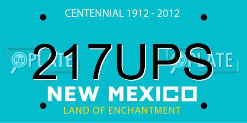 217UPS New Mexico License Plate
