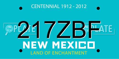 217ZBF New Mexico License Plate