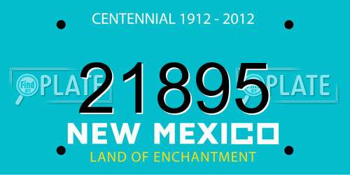 21895 New Mexico License Plate