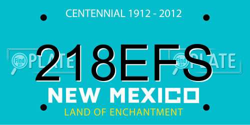 218EFS New Mexico License Plate