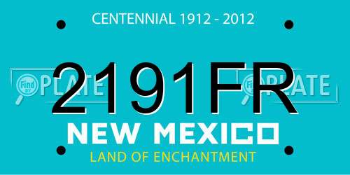 2191FR New Mexico License Plate