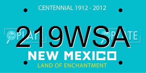 219WSA New Mexico License Plate