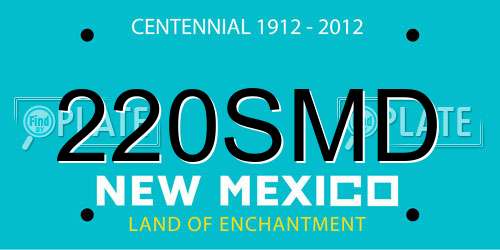 220SMD New Mexico License Plate