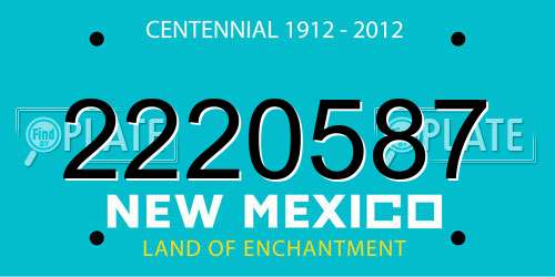 2220587 New Mexico License Plate