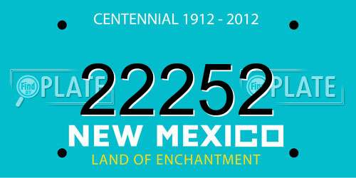 22252 New Mexico License Plate