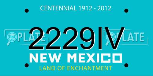 2229IV New Mexico License Plate