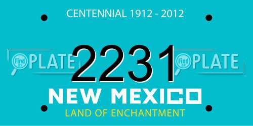 2231 New Mexico License Plate
