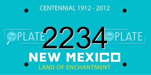 2234 New Mexico License Plate