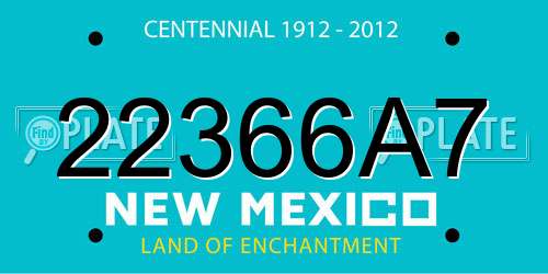 22366A7 New Mexico License Plate