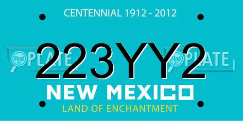 223YY2 New Mexico License Plate