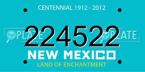 224522 New Mexico License Plate