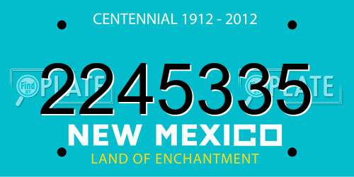2245335 New Mexico License Plate