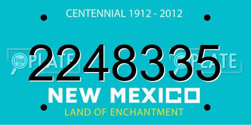 2248335 New Mexico License Plate
