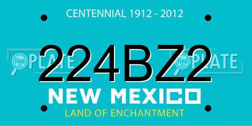 224BZ2 New Mexico License Plate