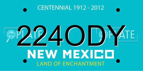 224ODY New Mexico License Plate
