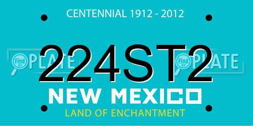 224ST2 New Mexico License Plate