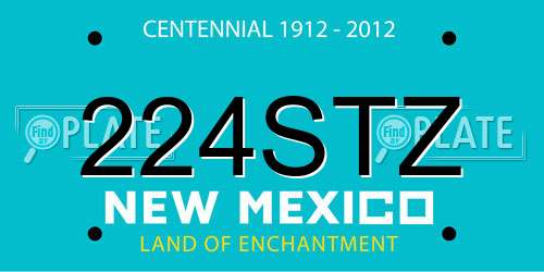 224STZ New Mexico License Plate