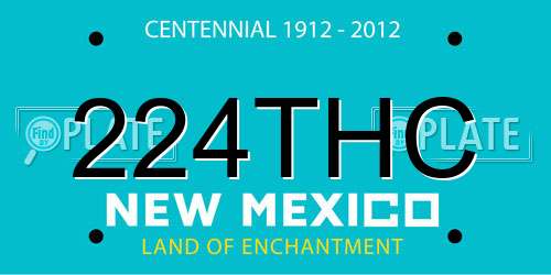 224THC New Mexico License Plate
