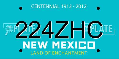 224ZHC New Mexico License Plate