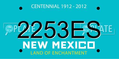 2253ES New Mexico License Plate