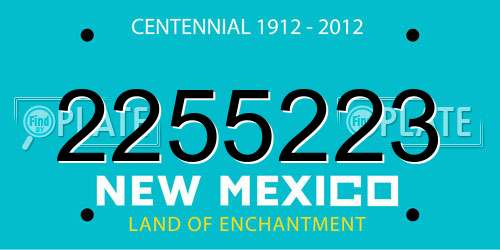 2255223 New Mexico License Plate