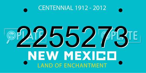 2255273 New Mexico License Plate
