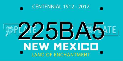 225BA5 New Mexico License Plate