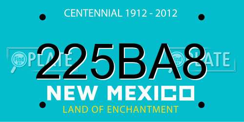 225BA8 New Mexico License Plate