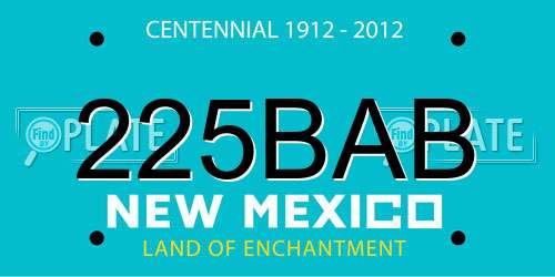 225BAB New Mexico License Plate