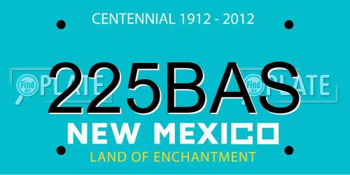 225BAS New Mexico License Plate