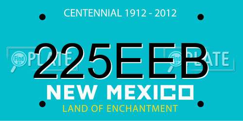 225EEB New Mexico License Plate
