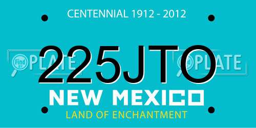 225JTO New Mexico License Plate