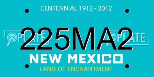 225MA2 New Mexico License Plate