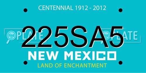 225SA5 New Mexico License Plate