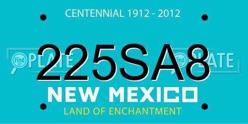 225SA8 New Mexico License Plate