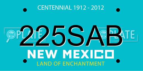 225SAB New Mexico License Plate