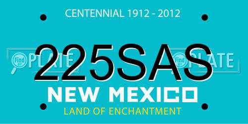 225SAS New Mexico License Plate